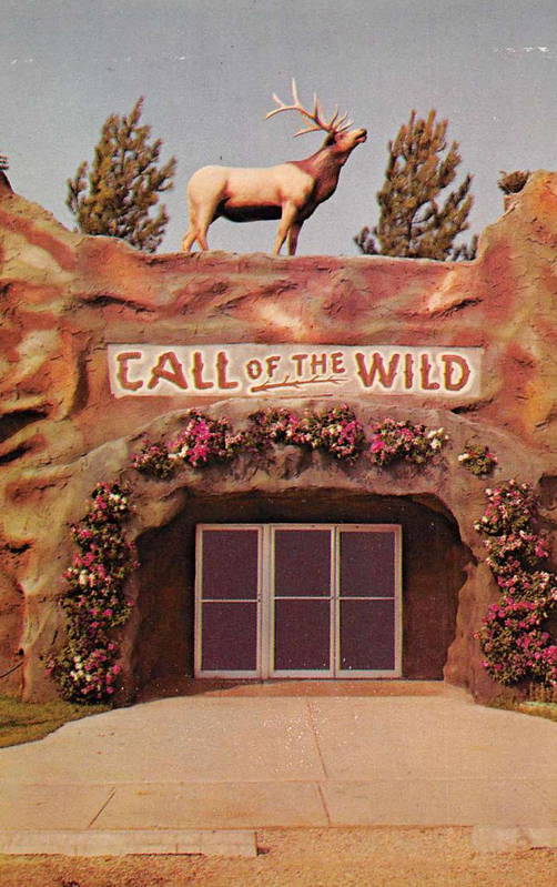 Call of the Wild - Vintage Promo Material (newer photo)